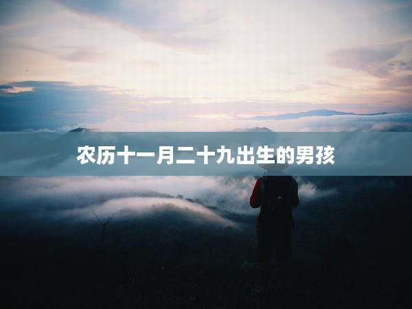 农历十一月二十九出生的男孩