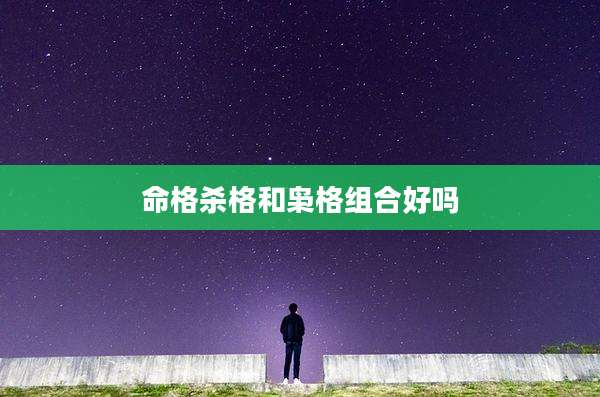 命格杀格和枭格组合好吗