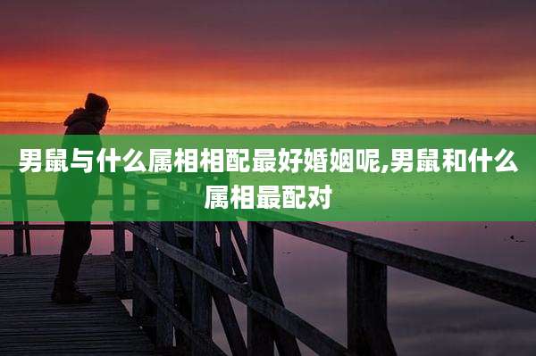 男鼠与什么属相相配最好婚姻呢,男鼠和什么属相最配对