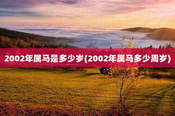 2002年属马是多少岁(2002年属马多少周岁)