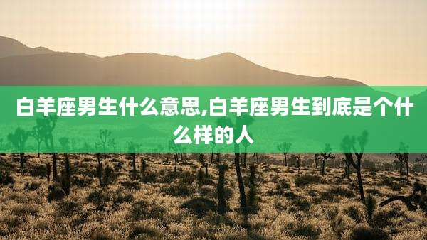 白羊座男生什么意思,白羊座男生到底是个什么样的人
