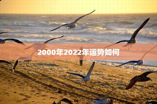 2000年2022年运势如何