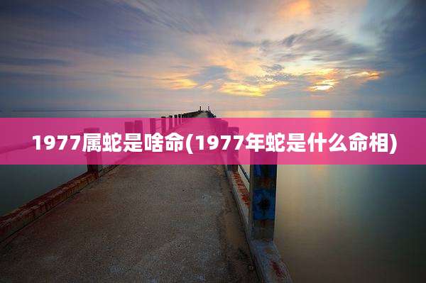 1977属蛇是啥命(1977年蛇是什么命相)