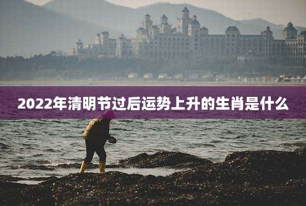 2022年清明节过后运势上升的生肖是什么