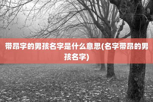 带昂字的男孩名字是什么意思(名字带昂的男孩名字)