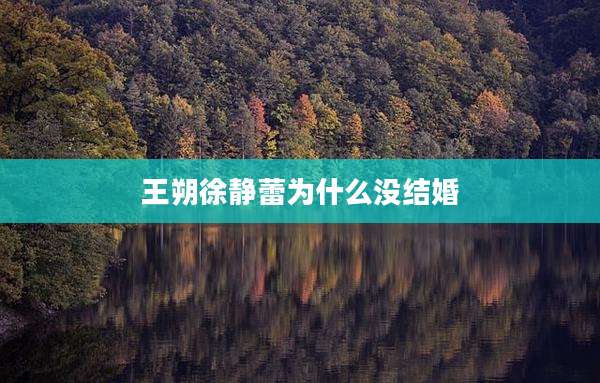 王朔徐静蕾为什么没结婚