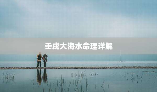 壬戌大海水命理详解