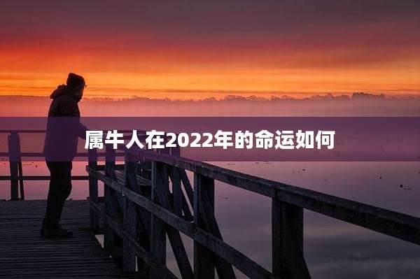 属牛人在2022年的命运如何