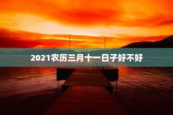 2021农历三月十一日子好不好