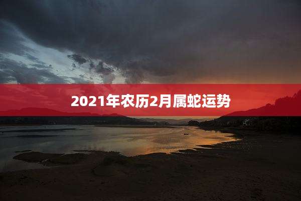 2021年农历2月属蛇运势