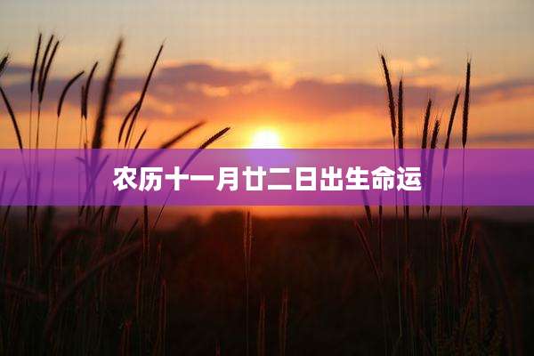 农历十一月廿二日出生命运