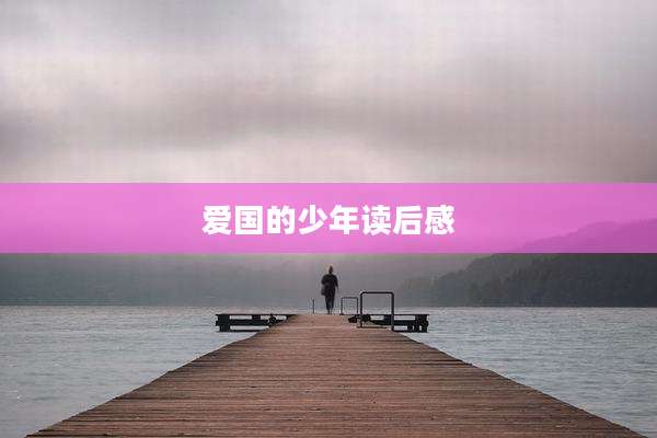 爱国的少年读后感