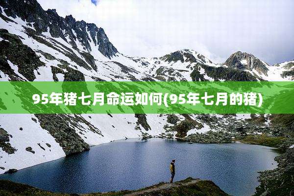 95年猪七月命运如何(95年七月的猪)