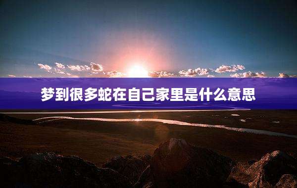 梦到很多蛇在自己家里是什么意思
