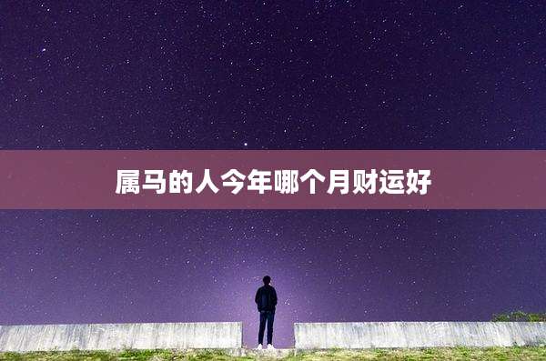 属马的人今年哪个月财运好