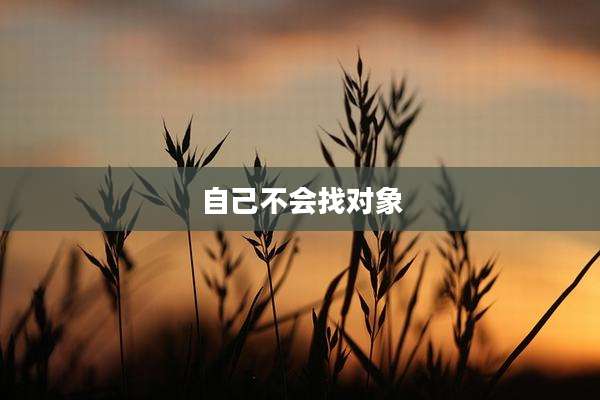 自己不会找对象