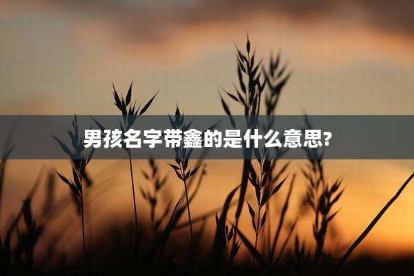 男孩名字带鑫的是什么意思?