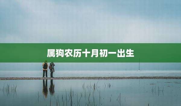 属狗农历十月初一出生