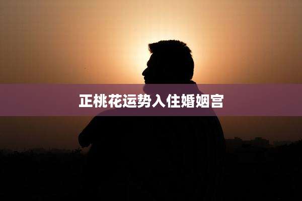 正桃花运势入住婚姻宫