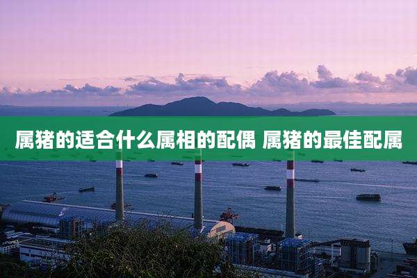 属猪的适合什么属相的配偶 属猪的最佳配属