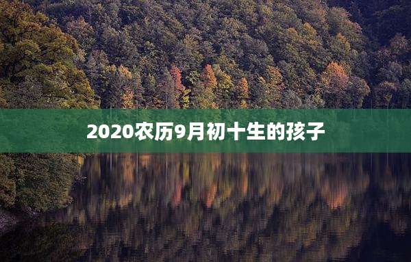 2020农历9月初十生的孩子