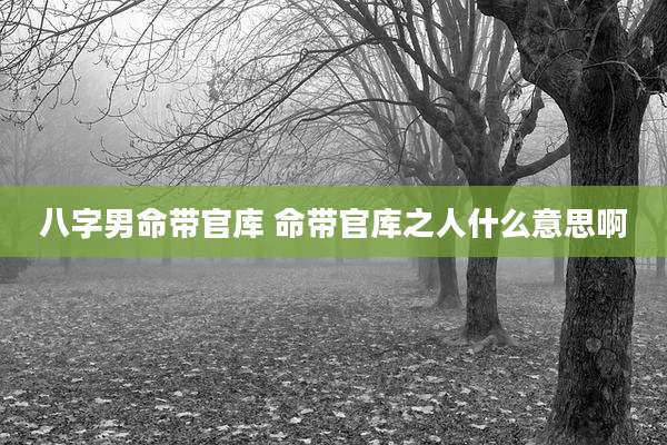 八字男命带官库 命带官库之人什么意思啊