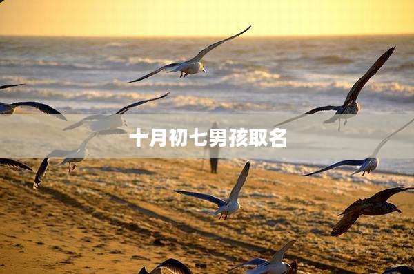 十月初七男孩取名