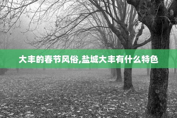 大丰的春节风俗,盐城大丰有什么特色