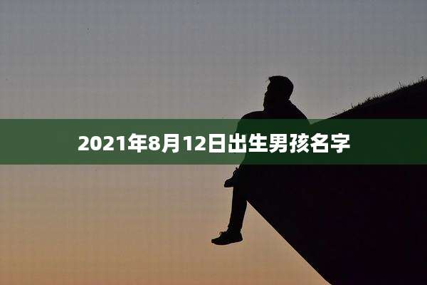 2021年8月12日出生男孩名字