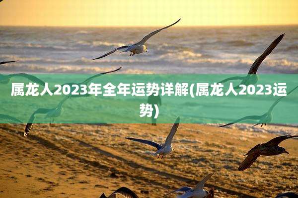 属龙人2023年全年运势详解(属龙人2023运势)