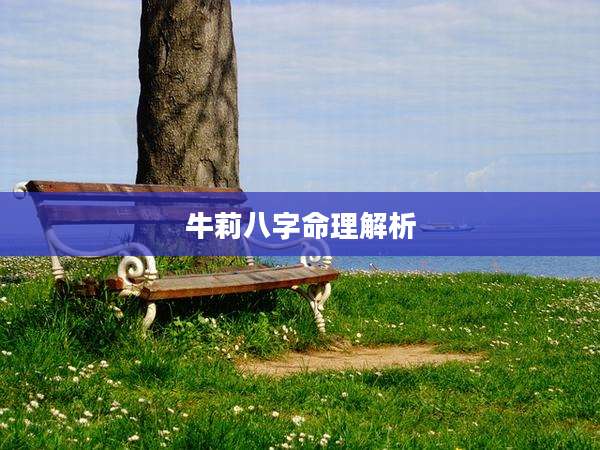 牛莉八字命理解析