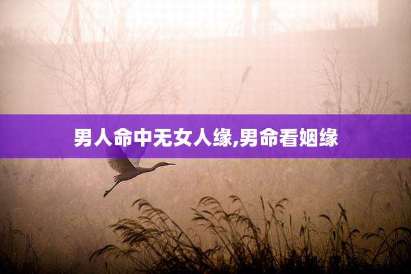 男人命中无女人缘,男命看姻缘