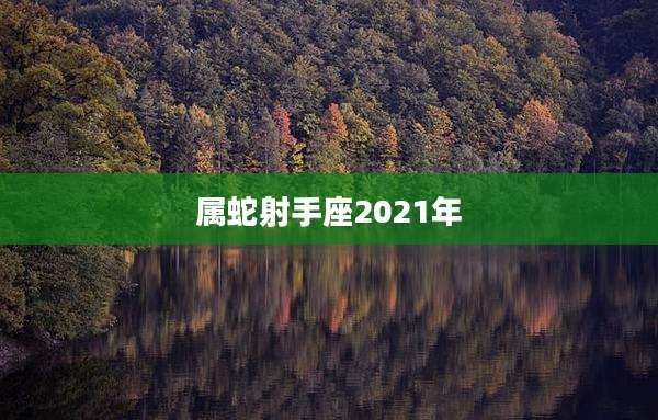 属蛇射手座2021年