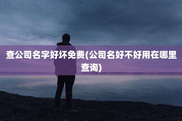 查公司名字好坏免费(公司名好不好用在哪里查询)