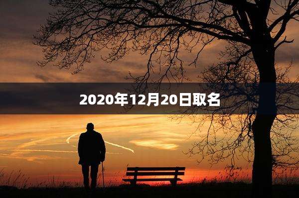 2020年12月20日取名