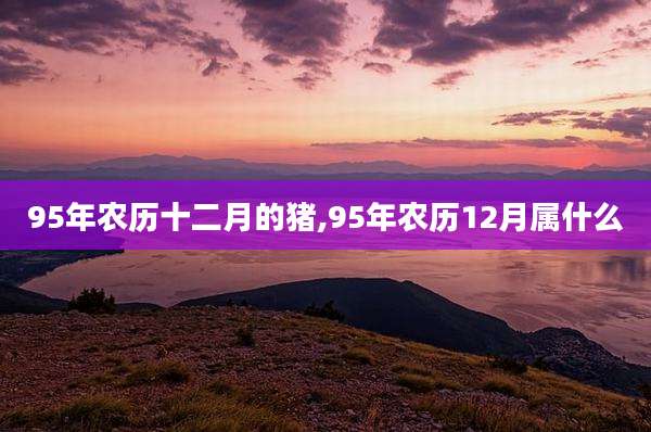 95年农历十二月的猪,95年农历12月属什么