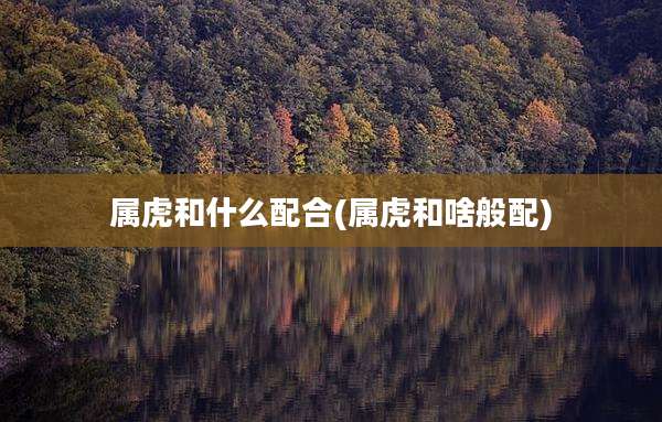 属虎和什么配合(属虎和啥般配)