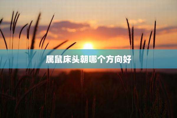 属鼠床头朝哪个方向好