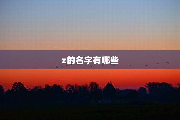 z的名字有哪些