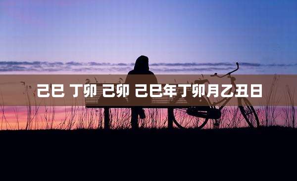 己巳 丁卯 己卯 己巳年丁卯月乙丑日