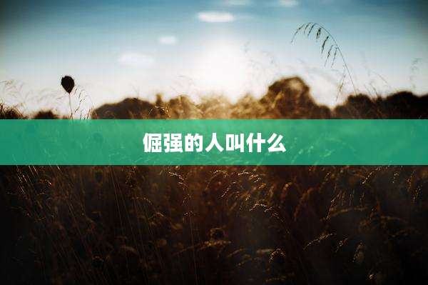 倔强的人叫什么
