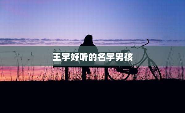 王字好听的名字男孩