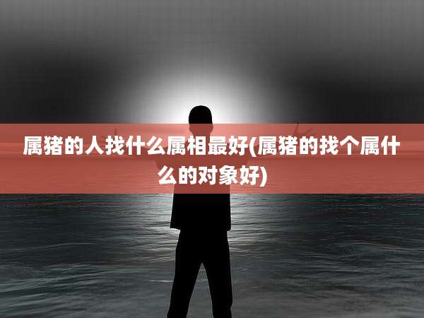 属猪的人找什么属相最好(属猪的找个属什么的对象好)
