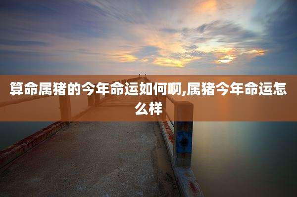 算命属猪的今年命运如何啊,属猪今年命运怎么样