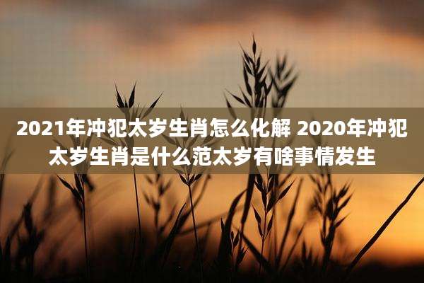 2021年冲犯太岁生肖怎么化解 2020年冲犯太岁生肖是什么范太岁有啥事情发生
