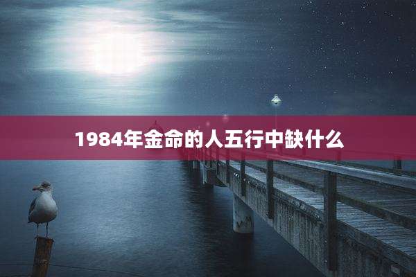 1984年金命的人五行中缺什么
