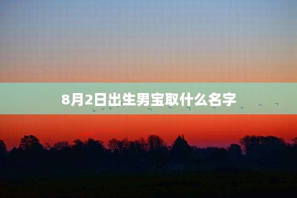 8月2日出生男宝取什么名字