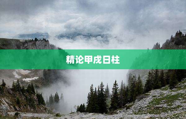 精论甲戌日柱