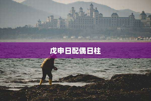 戊申日配偶日柱