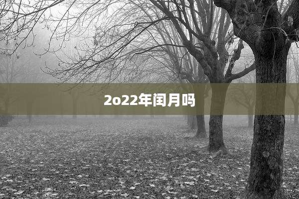 2o22年闰月吗